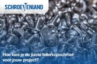 Hoe kies je de juiste tellerkopschroef voor jouw project?