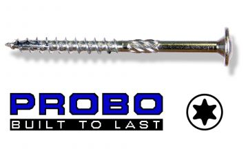 Probo Tellerkopschroef 10x300 Torx