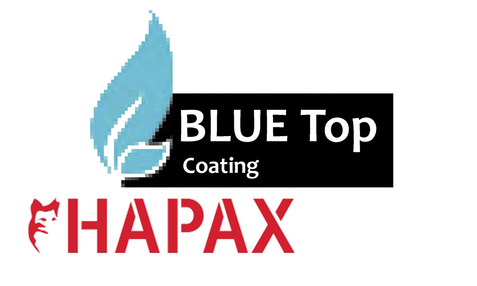 Hapax Constructieschroef 6x260