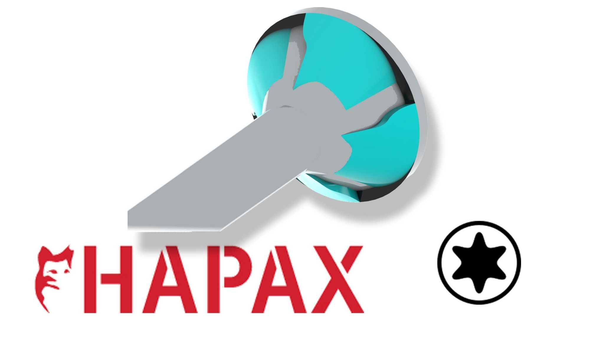 Hapax Constructieschroef 5x60
